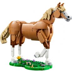 Schnes Pferd